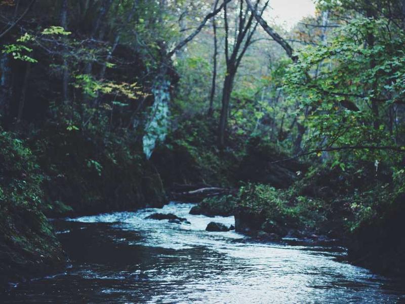 Séminaire Leadership 2025