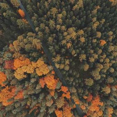 Gauthier Pages S.A.S.